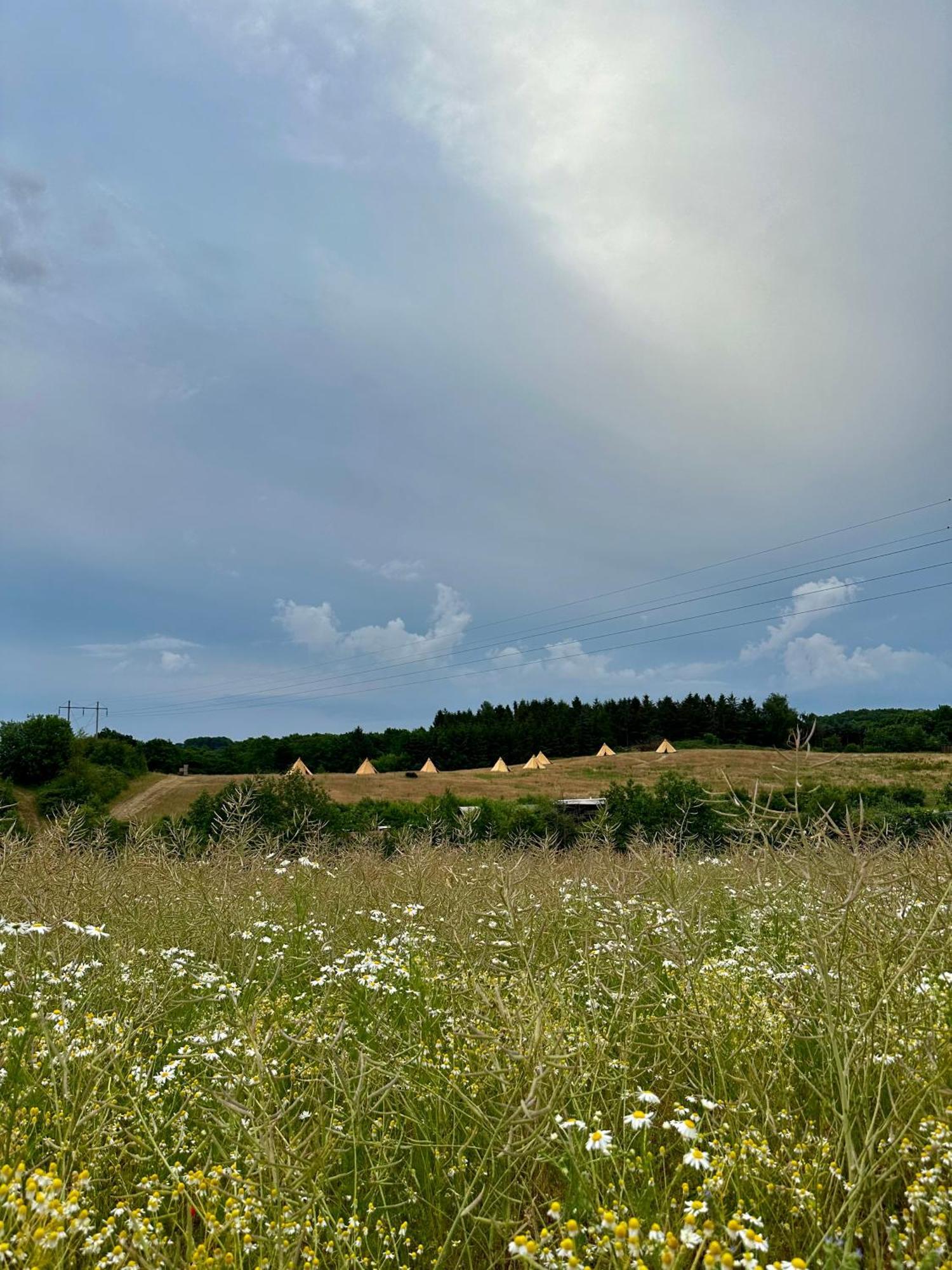 Krusmolle Glamping Hotel Aabenraa Exterior photo